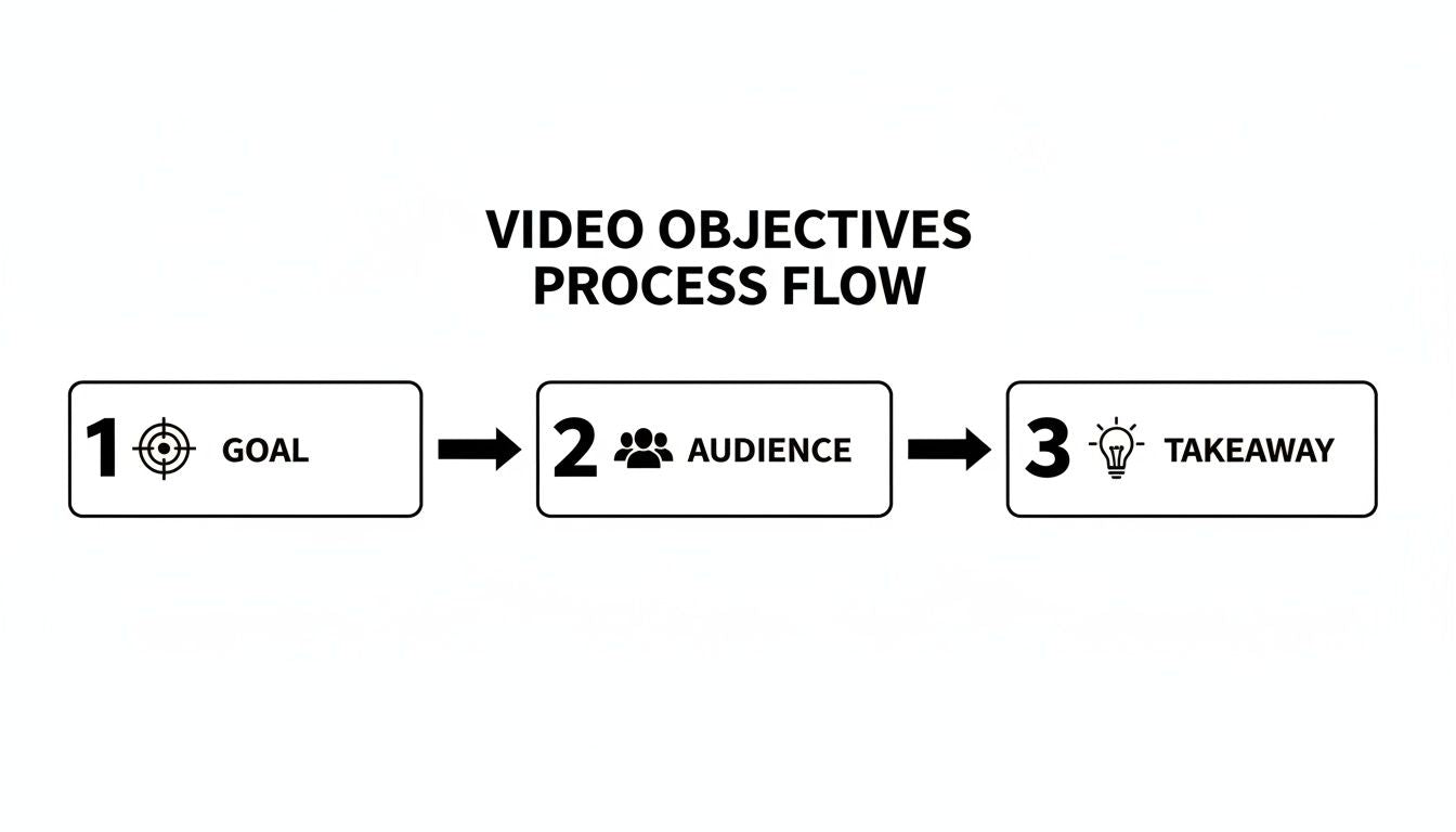 Process flow: objective, audience, and key takeaway for SaaS product videos.