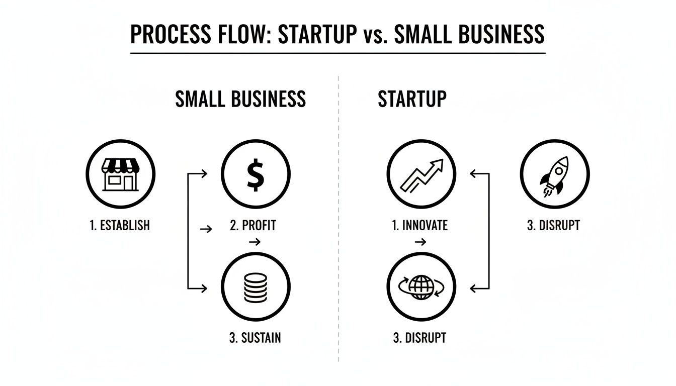 A process flow diagram comparing the life cycles of a startup and a small business.